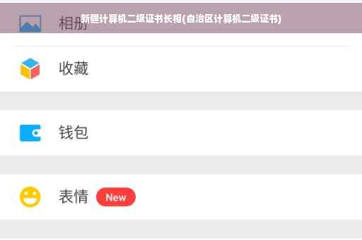 新疆计算机二级证书长相(自治区计算机二级证书) 新疆计算机二级证书长相(自治区计算机二级证书)
