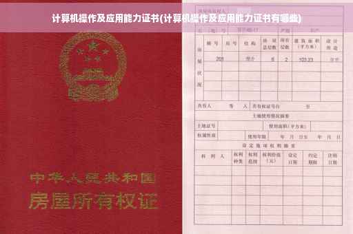 计算机操作及应用能力证书(计算机操作及应用能力证书有哪些)