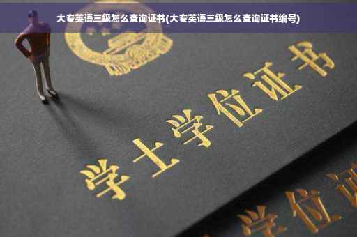 大专英语三级怎么查询证书(大专英语三级怎么查询证书编号)