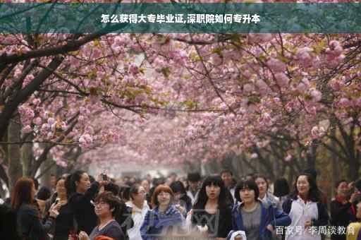 怎么获得大专毕业证,深职院如何专升本