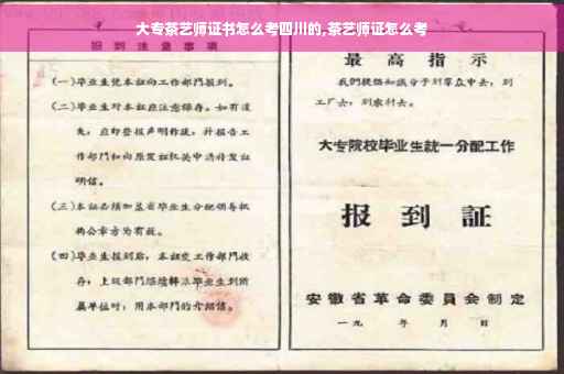大专茶艺师证书怎么考四川的,茶艺师证怎么考