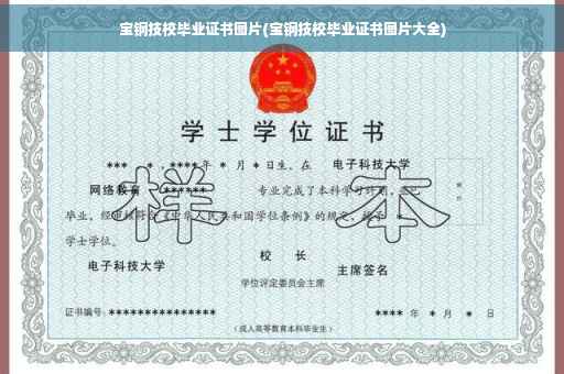 宝钢技校毕业证书图片(宝钢技校毕业证书图片大全)