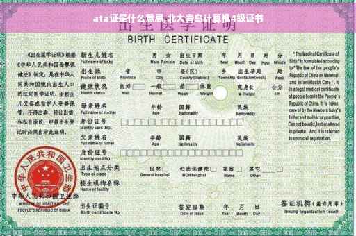 ata证是什么意思,北大青鸟计算机4级证书