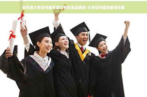 如何用大专证书编号查大专毕业证真伪-大专证书报告编号在哪
