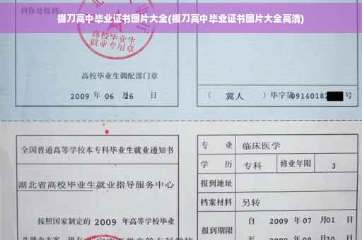 掇刀高中毕业证书图片大全(掇刀高中毕业证书图片大全高清)