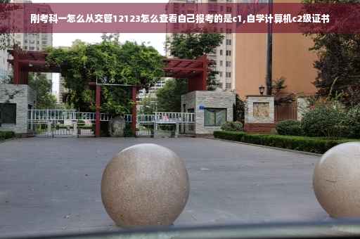 刚考科一怎么从交管12123怎么查看自己报考的是c1,自学计算机c2级证书