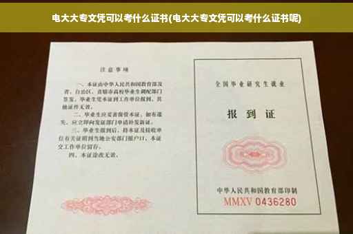 电大大专文凭可以考什么证书(电大大专文凭可以考什么证书呢)