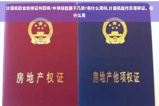 计算机职业资格证书四级/中级技能属于几级?有什么用吗,计算机操作员等级证。有什么用