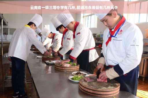 云南省一级三等中学有几所,昭通市永善县有几所高中