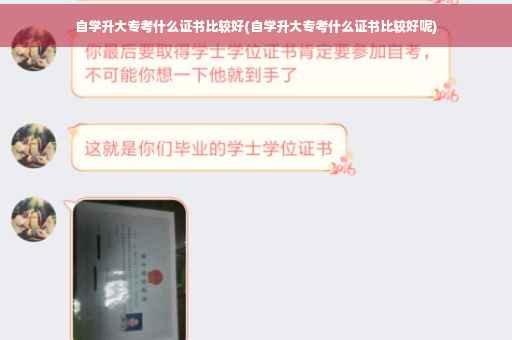 自学升大专考什么证书比较好(自学升大专考什么证书比较好呢)