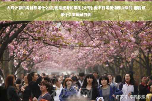 大专计算机考试都考什么证,我是成考的学生(大专),但不能考英语四六级的,那我该考什么英语证书呢