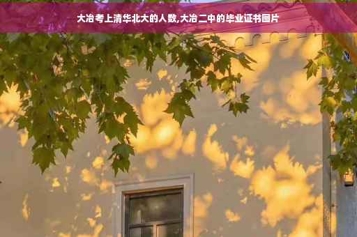 大冶考上清华北大的人数,大冶二中的毕业证书图片