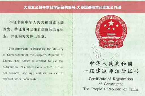 大专怎么报考本科学历证书编号,大专想进修本科要怎么办理