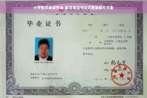 小学有毕业证书吗-发毕业证书仪式背景图片大全