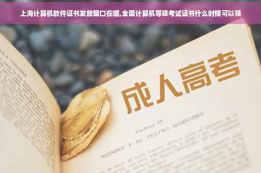 上海计算机软件证书发放窗口在哪,全国计算机等级考试证书什么时候可以领