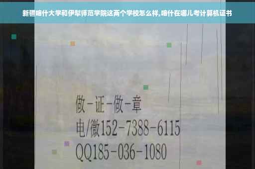 新疆喀什大学和伊犁师范学院这两个学校怎么样,喀什在哪儿考计算机证书
