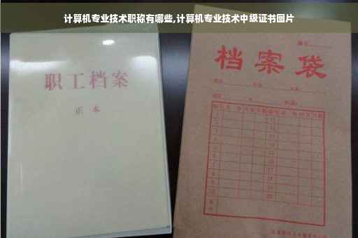 计算机专业技术职称有哪些,计算机专业技术中级证书图片