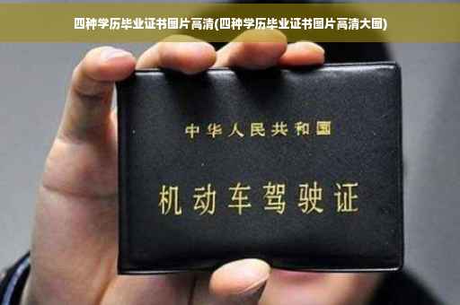 四种学历毕业证书图片高清(四种学历毕业证书图片高清大图)