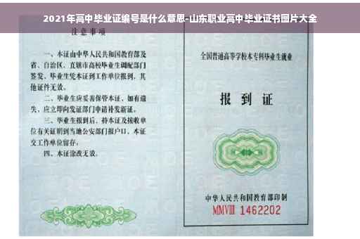 2021年高中毕业证编号是什么意思-山东职业高中毕业证书图片大全