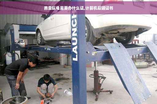 养亚巨龟需要办什么证,计算机后端证书