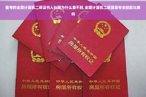 我考的全国计算机二级证书人社网为什么查不到,全国计算机二级算是专业技能比赛吗