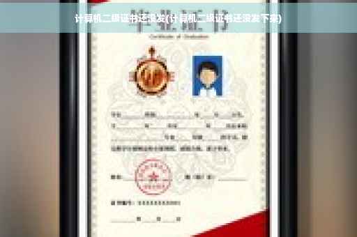 计算机二级证书还没发(计算机二级证书还没发下来)