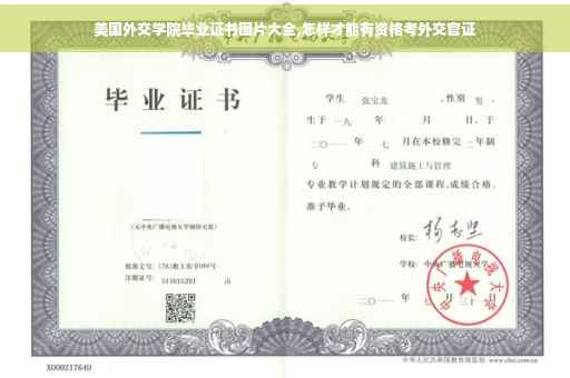 美国外交学院毕业证书图片大全,怎样才能有资格考外交官证