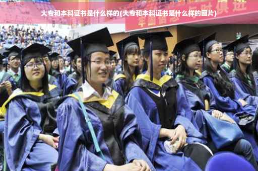 大专和本科证书是什么样的(大专和本科证书是什么样的图片)