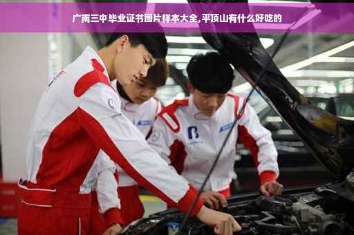 广南三中毕业证书图片样本大全,平顶山有什么好吃的