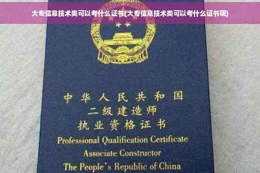 大专信息技术类可以考什么证书(大专信息技术类可以考什么证书呢)