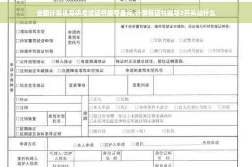 全国计算机等级考试证书编号查询,计算机证书编号2开头是什么