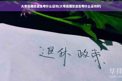 大专应届毕业生考什么证书(大专应届毕业生考什么证书好)
