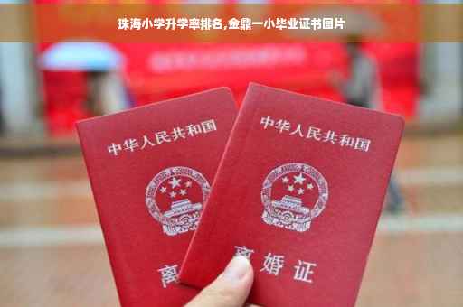 珠海小学升学率排名,金鼎一小毕业证书图片