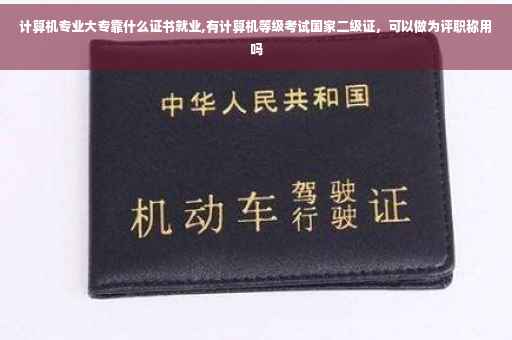 计算机专业大专靠什么证书就业,有计算机等级考试国家二级证，可以做为评职称用吗