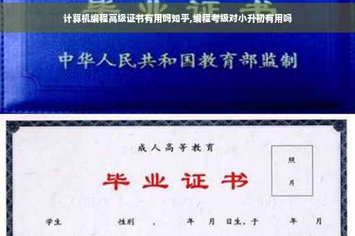 计算机编程高级证书有用吗知乎,编程考级对小升初有用吗