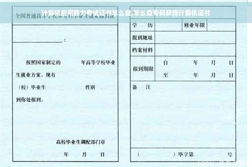 计算机应用能力考试证书怎么查,怎么查专科获得计算机证书