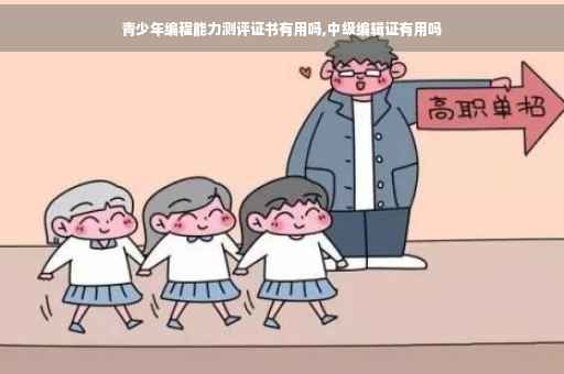 青少年编程能力测评证书有用吗,中级编辑证有用吗