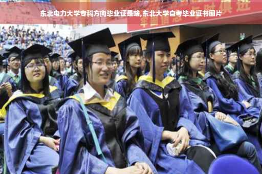 东北电力大学专科方向毕业证是啥,东北大学自考毕业证书图片