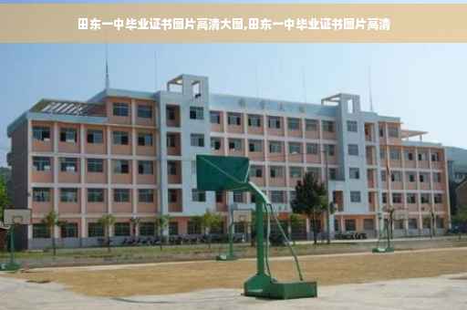 田东一中毕业证书图片高清大图,田东一中毕业证书图片高清