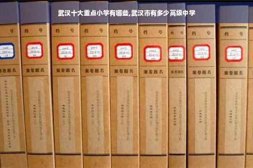 武汉十大重点小学有哪些,武汉市有多少高级中学