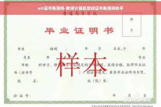 nit证书有用吗-教师计算机培训证书有用吗知乎