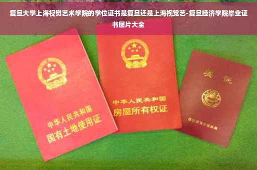 复旦大学上海视觉艺术学院的学位证书是复旦还是上海视觉艺-复旦经济学院毕业证书图片大全