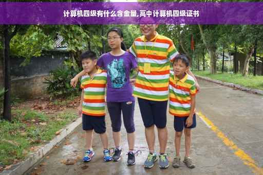 计算机四级有什么含金量,高中计算机四级证书