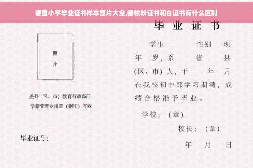 德国小学毕业证书样本图片大全,德牧粉证书和白证书有什么区别