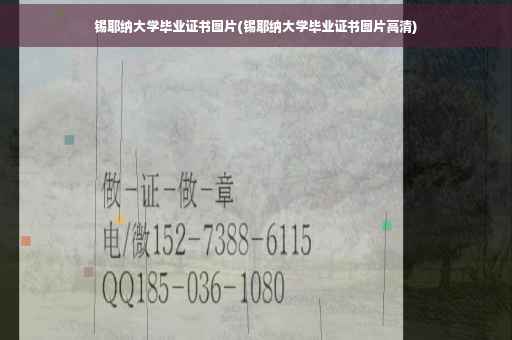 锡耶纳大学毕业证书图片(锡耶纳大学毕业证书图片高清)