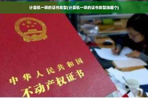 计算机一级的证书类型(计算机一级的证书类型选哪个)
