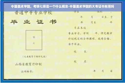 中国美术学院，考级七级是一个什么概念-中国美术学院的大专证书有用吗