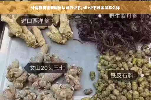 计算机有哪些国际认证的证书,niit证书含金量怎么样