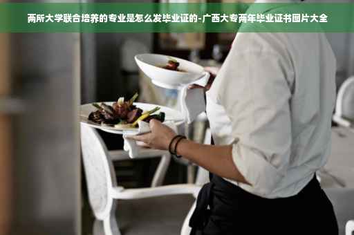 两所大学联合培养的专业是怎么发毕业证的-广西大专两年毕业证书图片大全