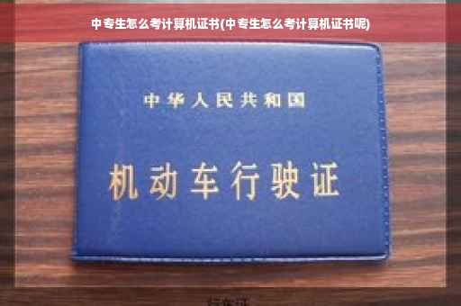 中专生怎么考计算机证书(中专生怎么考计算机证书呢)